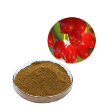 Free samples Organic Red Raspberry Extract Powder Fructus Corni Extract Powder